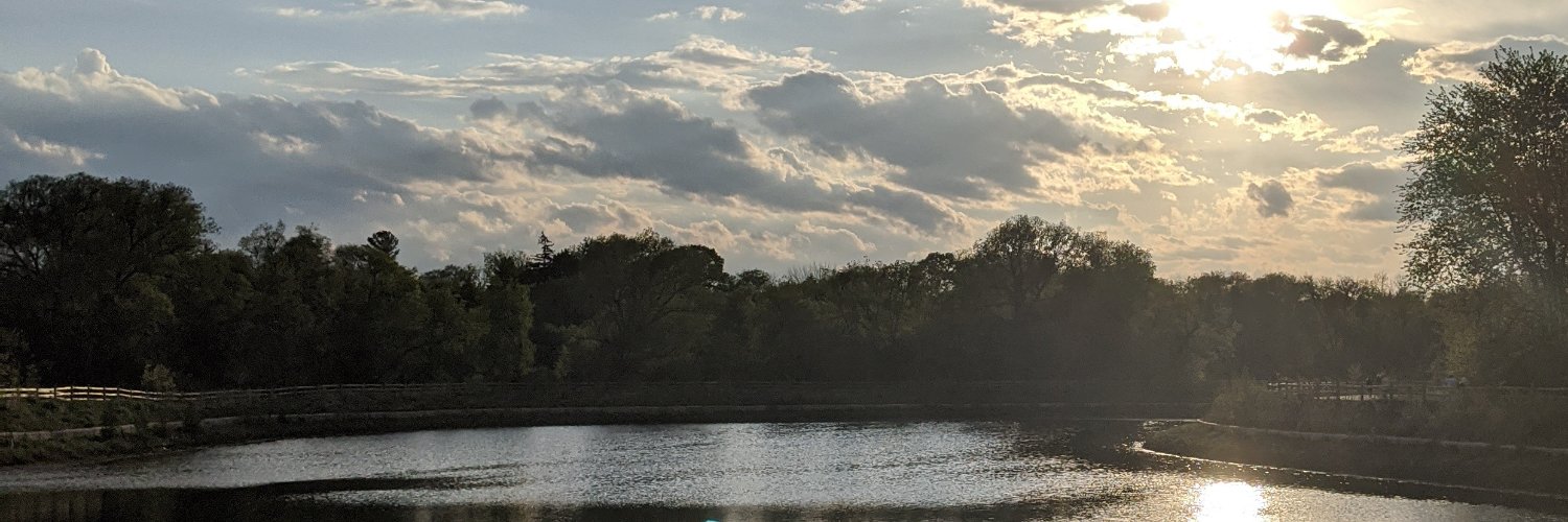 pyschoflower's profile banner image