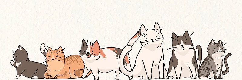 RaisaTika's profile banner image
