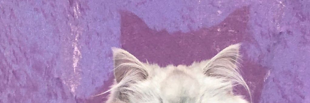 slimmyman's profile banner image