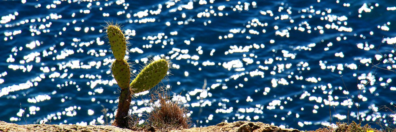 julia_diez's profile banner image