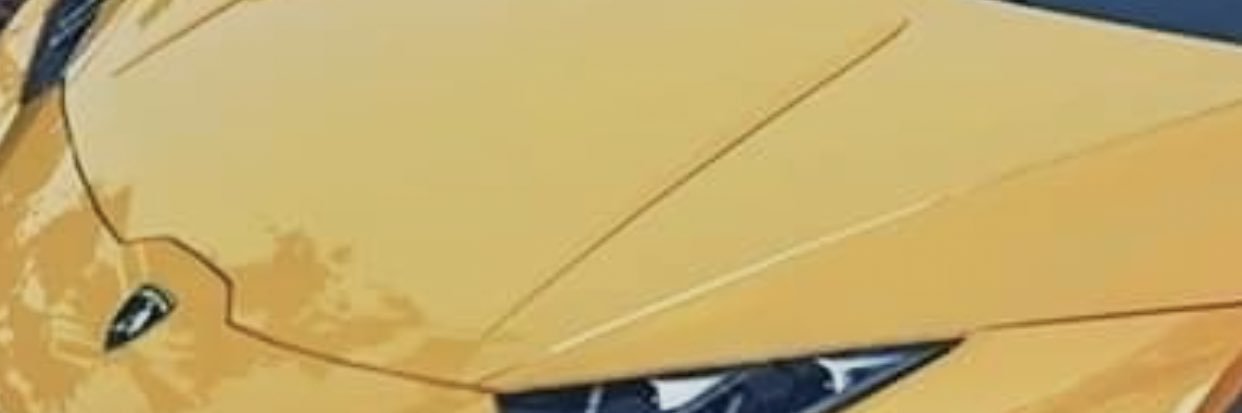 bellina_de's profile banner image