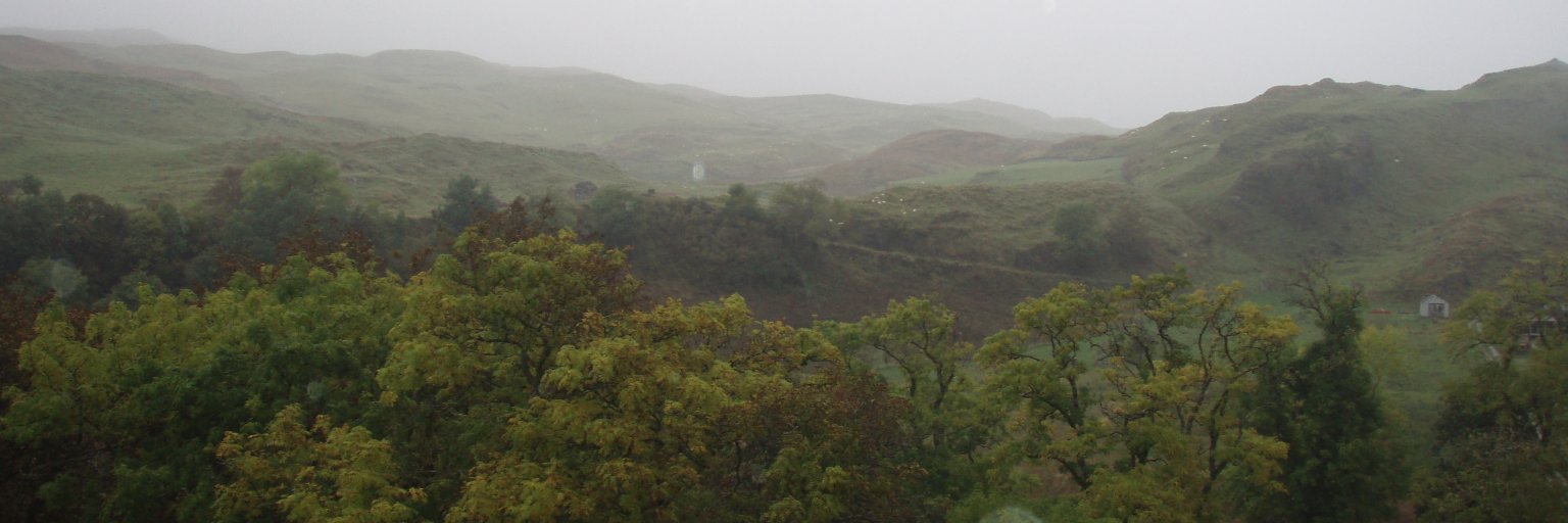 Jessica Appleton banner