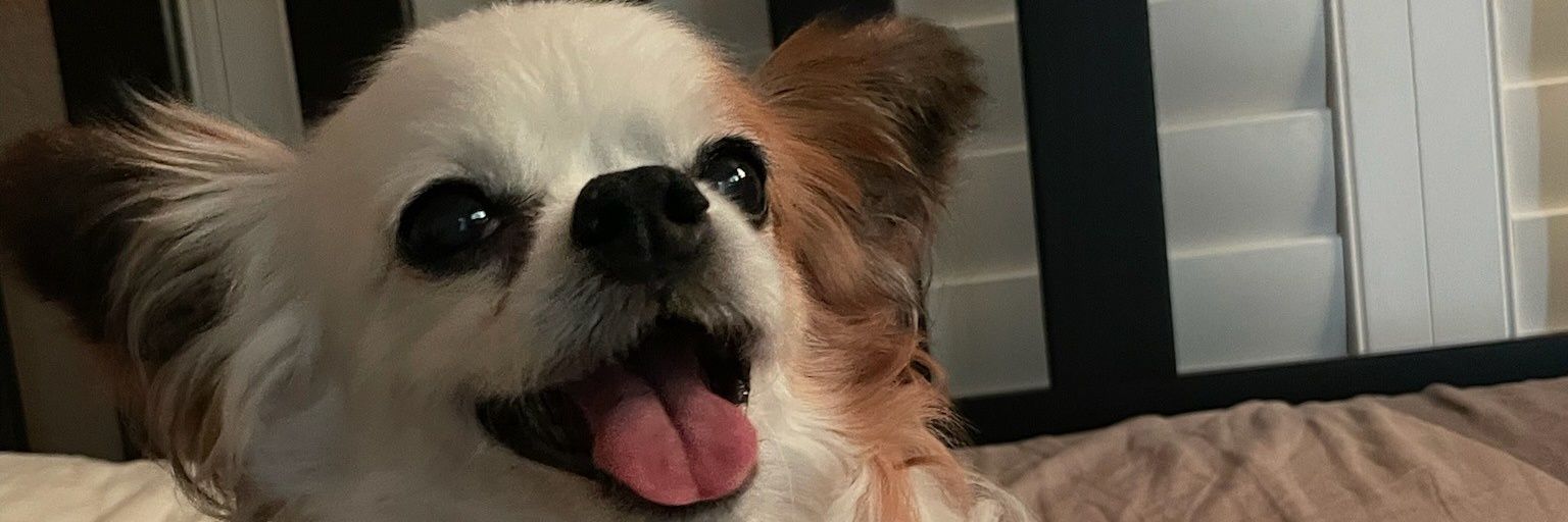 Pableeeezy's profile banner image