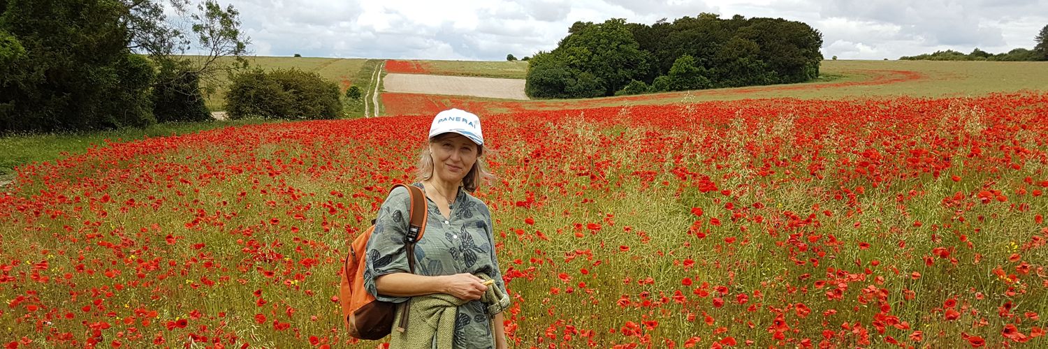 John Ferguson banner