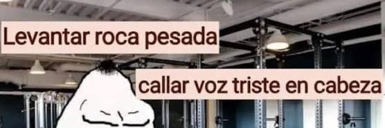 _catugarcia's profile banner image