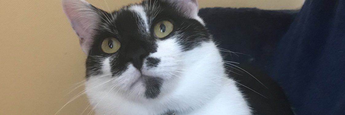 BETHCARLING's profile banner image