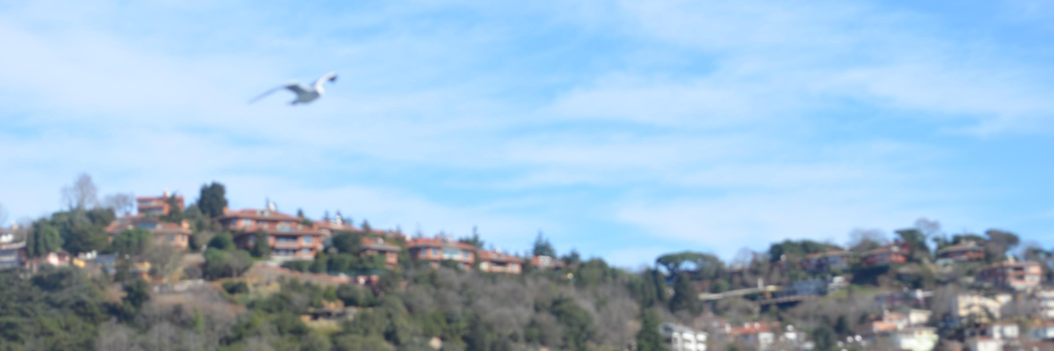 mfarras_m banner