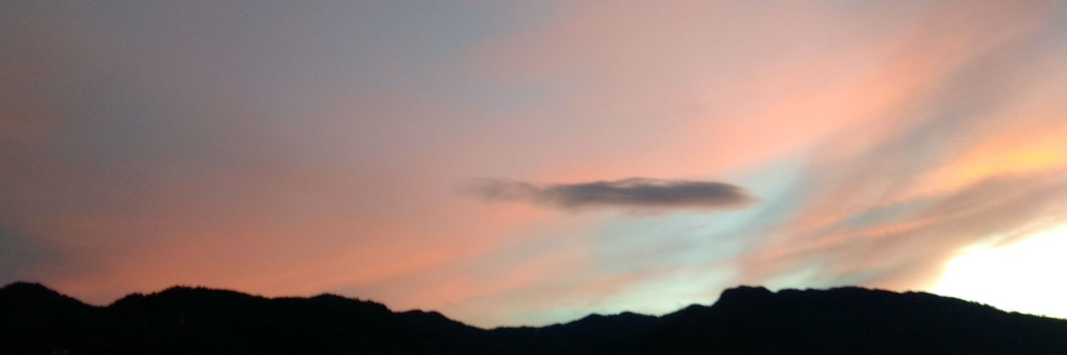 svgar_cookie's profile banner image