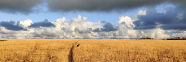 EvanIrvingPease Profile Banner