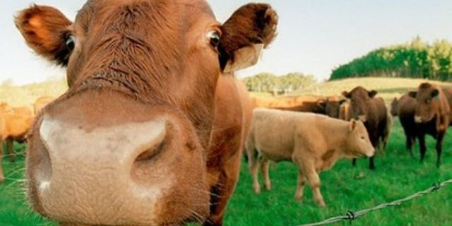 csercsei's profile banner image