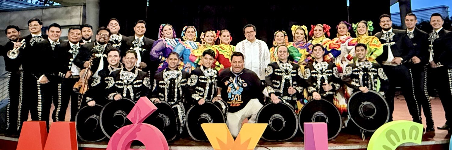 Juan Sandoval Mendiolea's banner