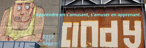 Dr. Cindy DE SMET banner