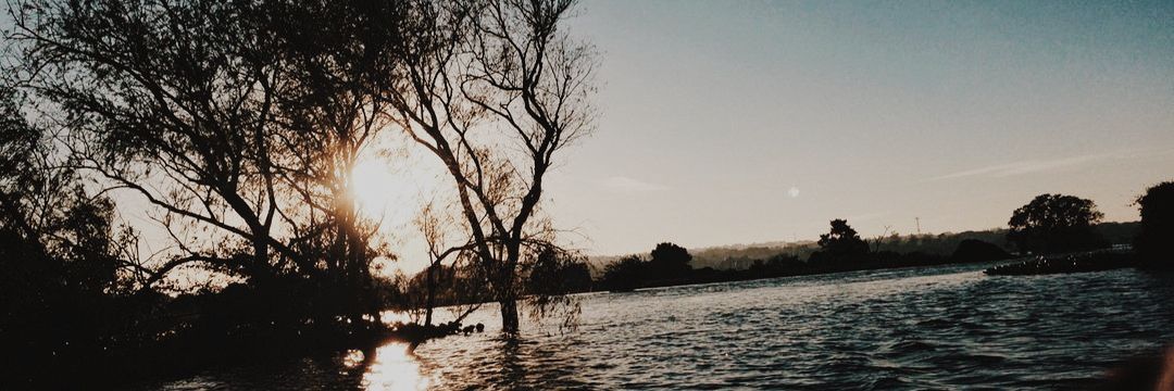 taniaparedesb's profile banner image