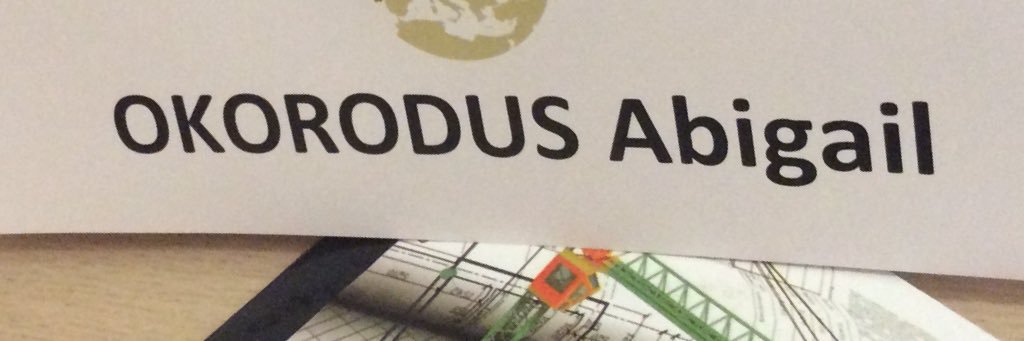 abbierodus's profile banner image