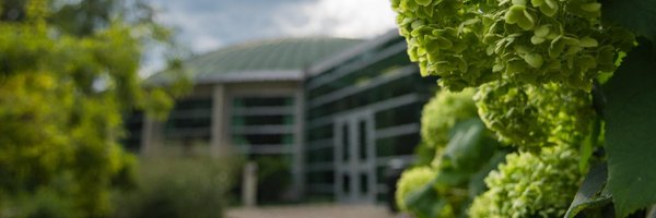 College of Education Profile Banner