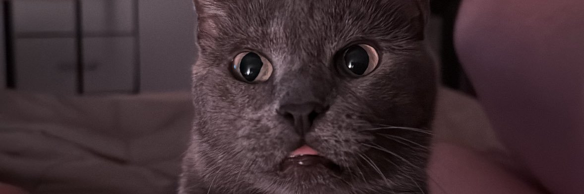 MiluFleba's profile banner image