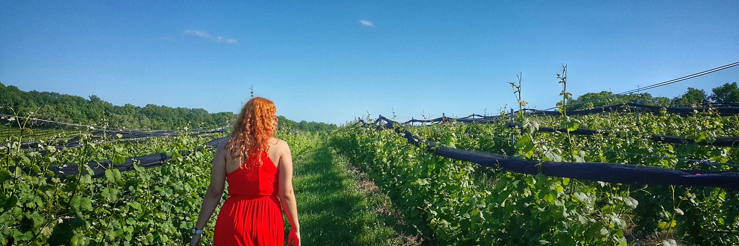 laurafabian's profile banner image