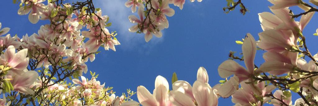 Philippa Milner banner