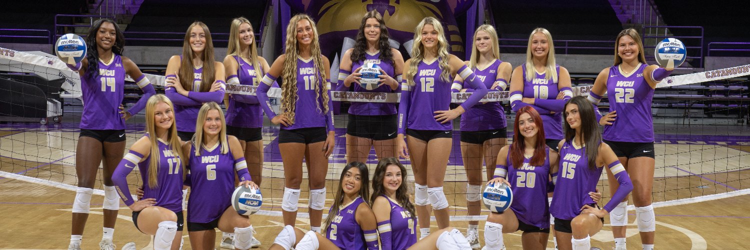 Western Carolina Volleyball banner