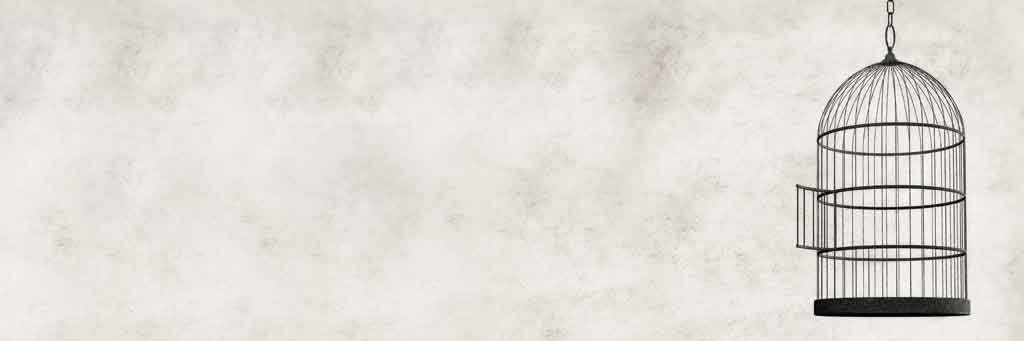 klimapires's profile banner image