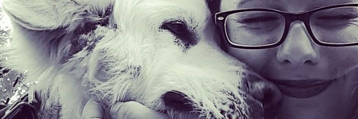 johnston_themrs's profile banner image