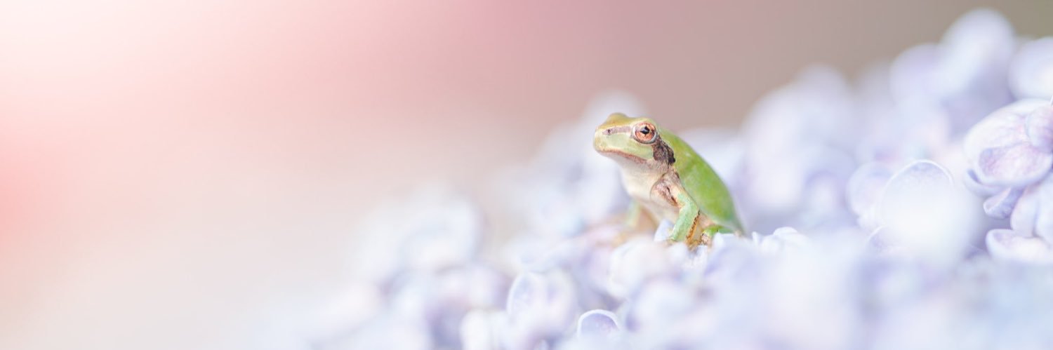 Spamoniiee's profile banner image