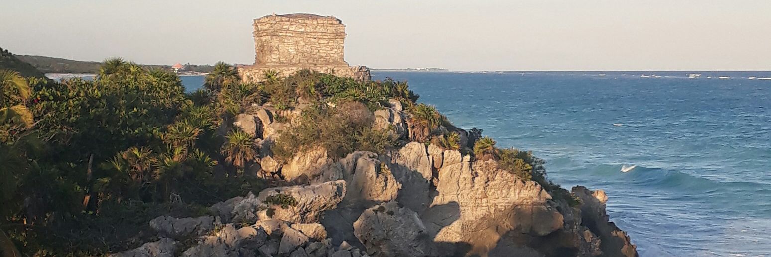 wendyaog's profile banner image