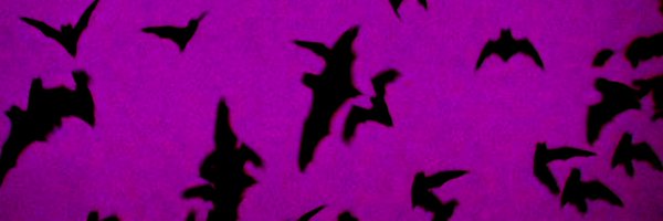 bottledcryptid Profile Banner