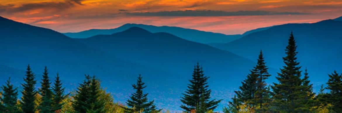 Boardmania_'s profile banner image