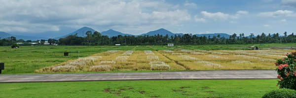vpsison Profile Banner