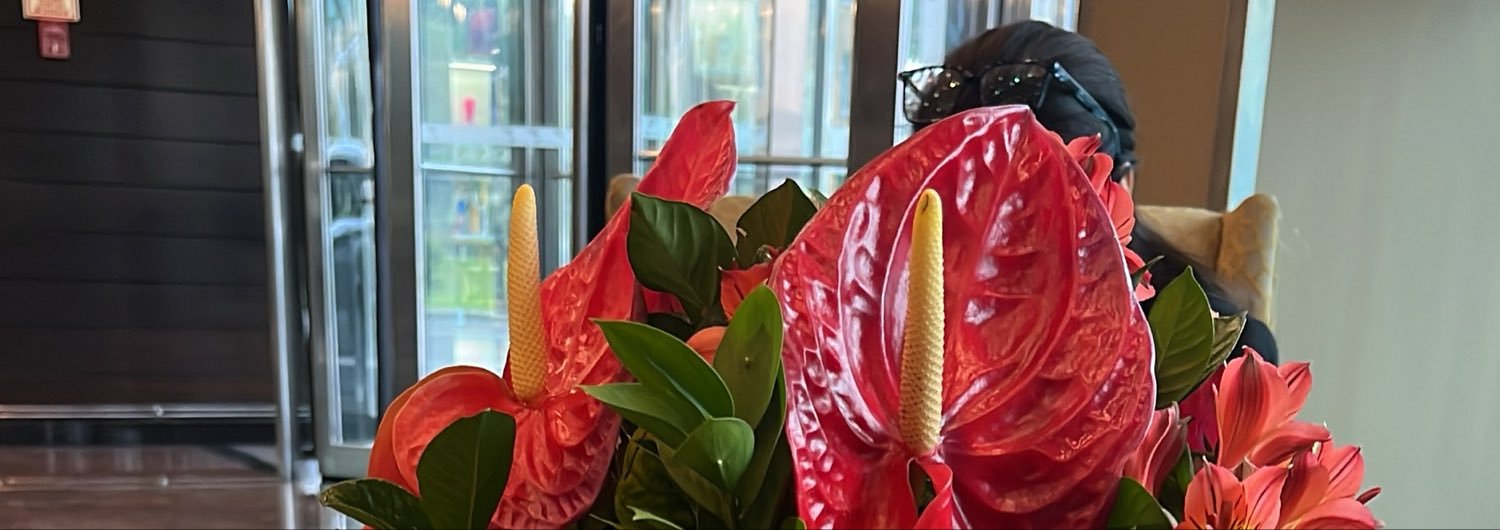 DanielaDvid's profile banner image