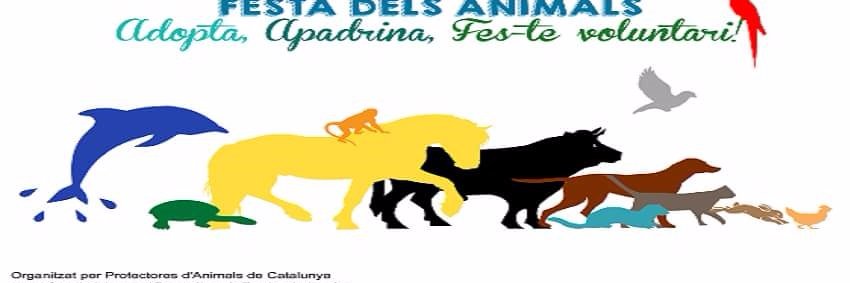 Festes del Animals banner