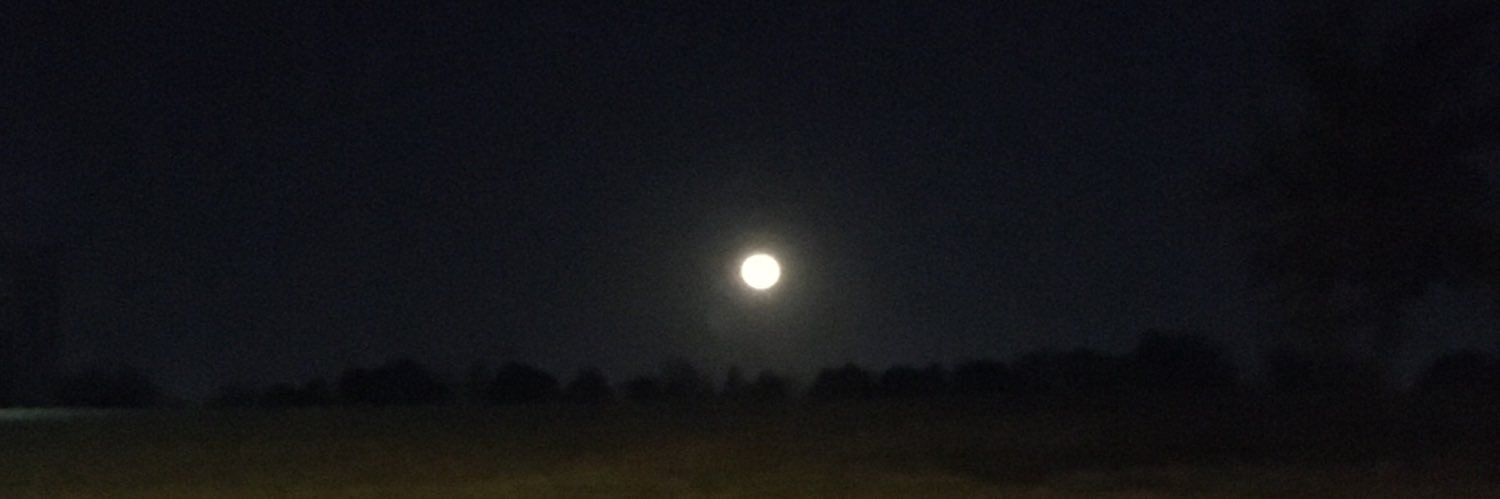 Donna Pacicca banner