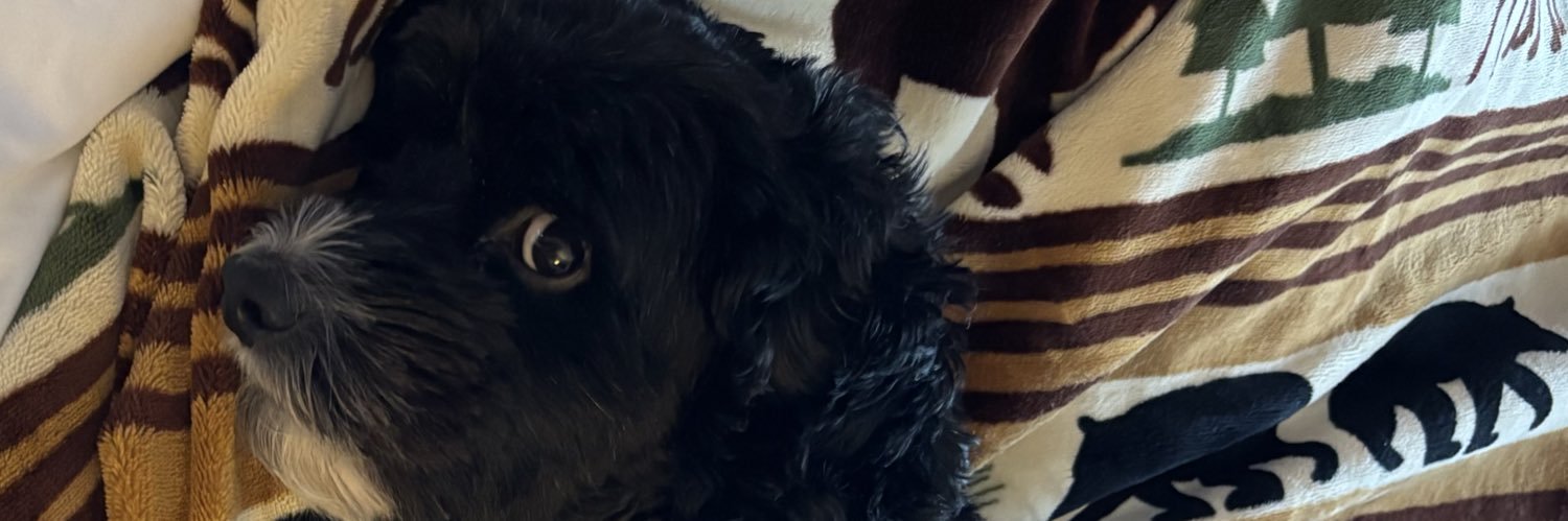 jamdoggg's profile banner image