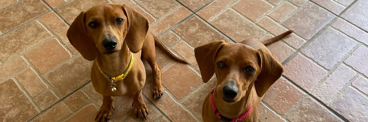 andreabelinda10's profile banner image