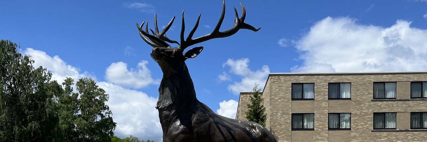 Fairfield Swimming and Diving banner