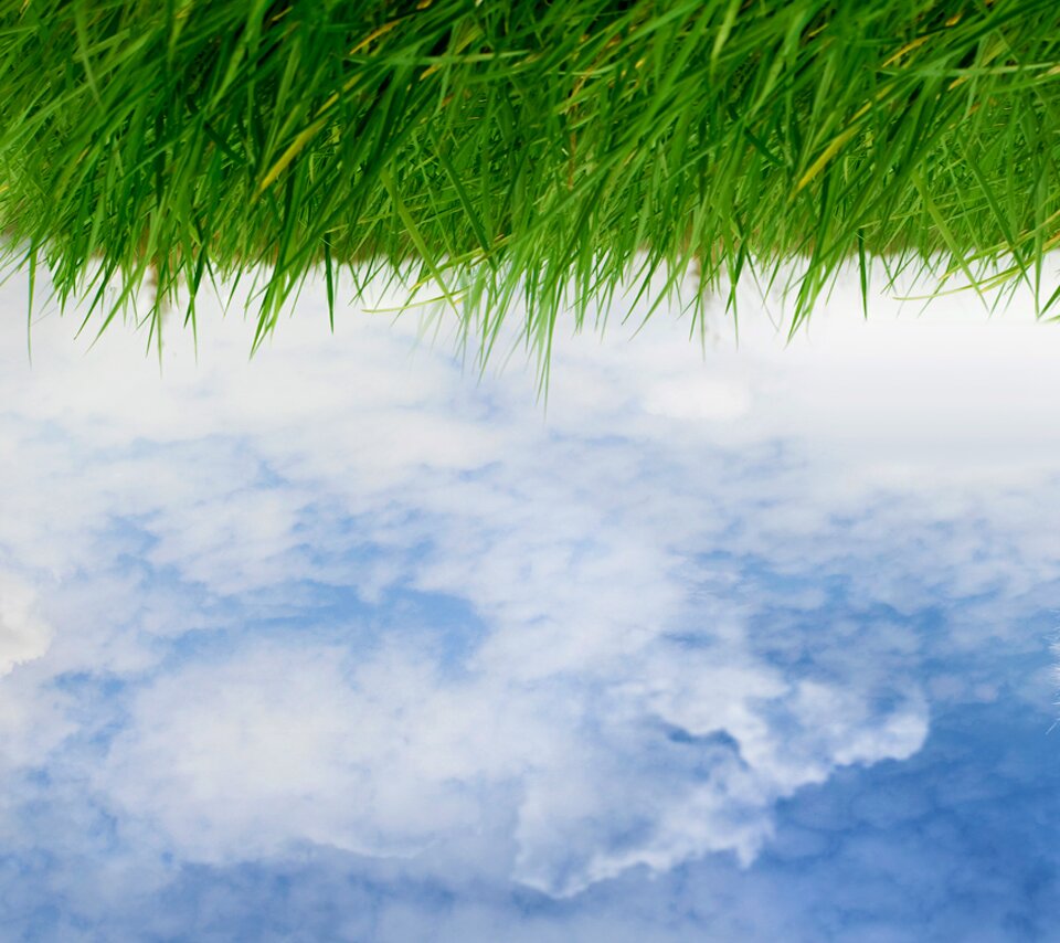 nicosintuit's profile banner image