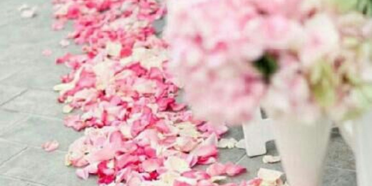 ealfaisal's profile banner image