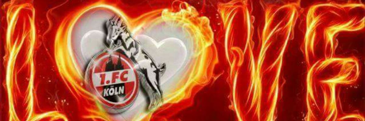 Herbert Schmitz banner