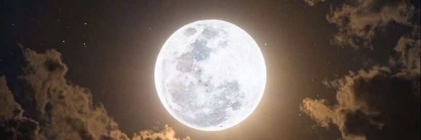 ترااابل X banner