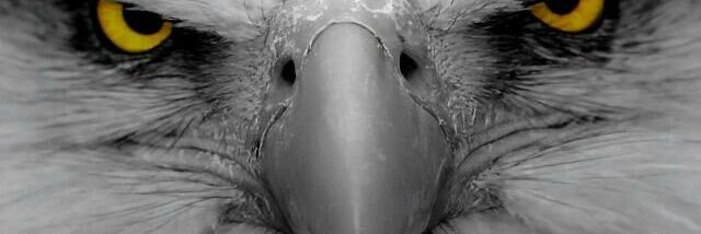 aaronlove12's profile banner image