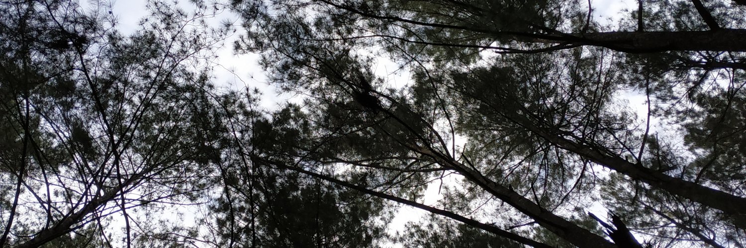 good_things95's profile banner image