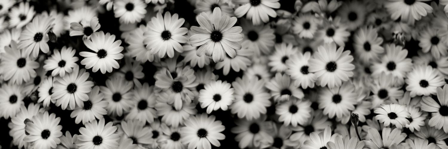 nati_narvaez's profile banner image