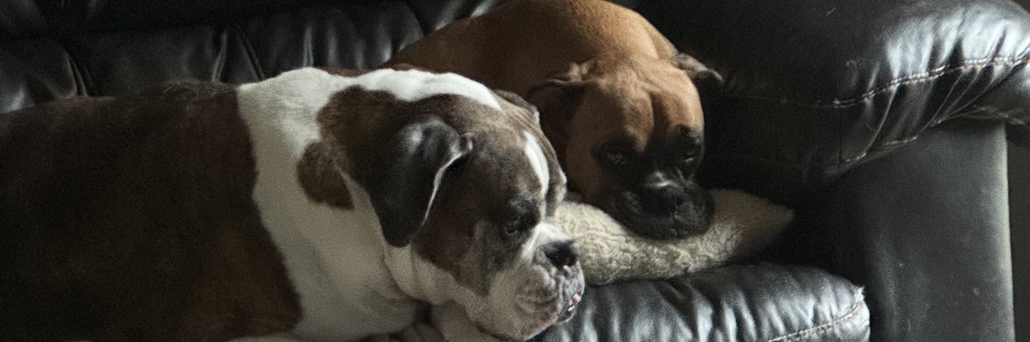 Frank Drebin Jr 🇺🇸 banner