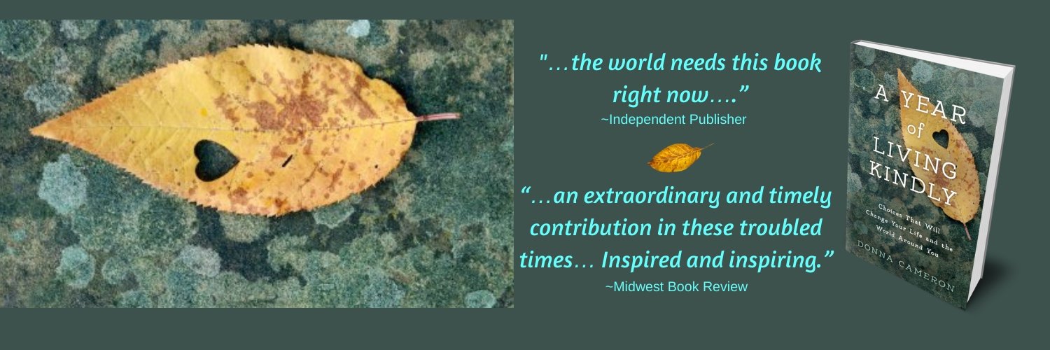 Donna Cameron banner