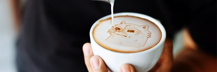 ActionSwanson banner