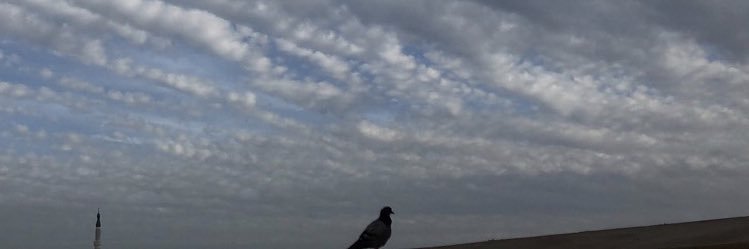 alshammarimarah's profile banner image