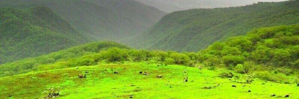 RRy1330 Profile Banner