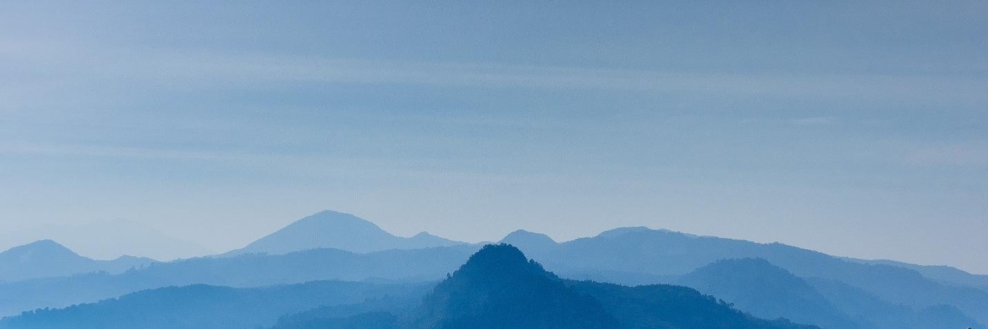 arigoot's profile banner image