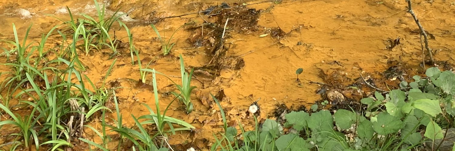 Margaret Anne Hinkle PhD🪨💧🍄🌍 banner